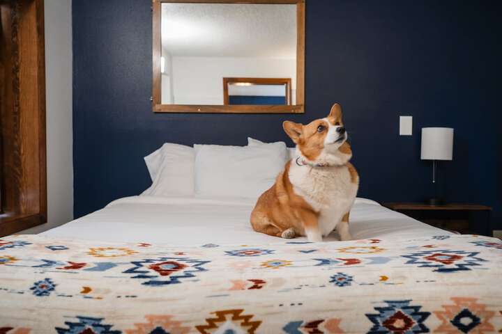 Pet Friendly 29 of 44