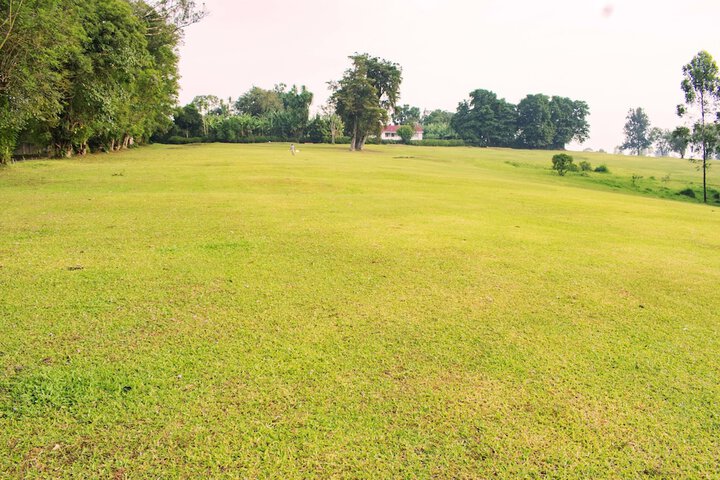 Golf 34 of 50