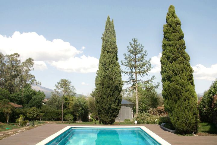 Pool 45 of 78