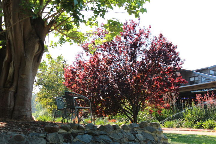 Property Grounds 25 of 29