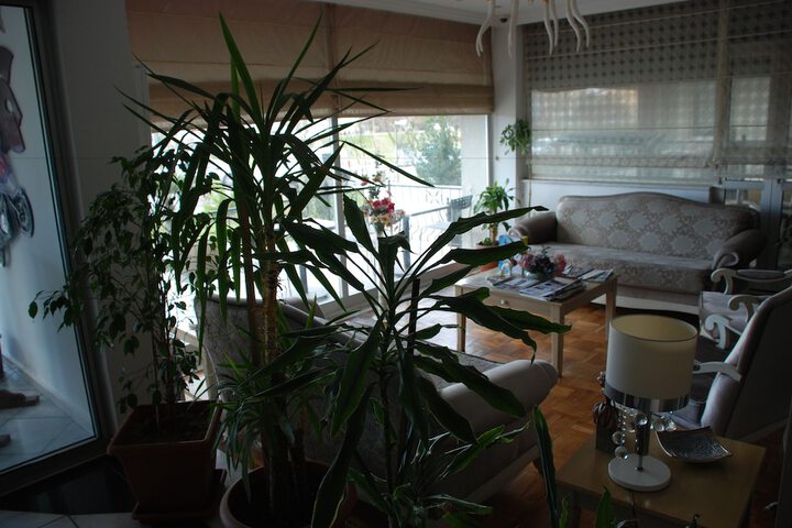 Hotel Interior 7 of 69