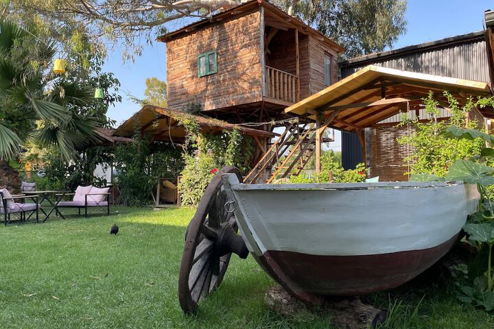 Daidala Life in Fethiye
