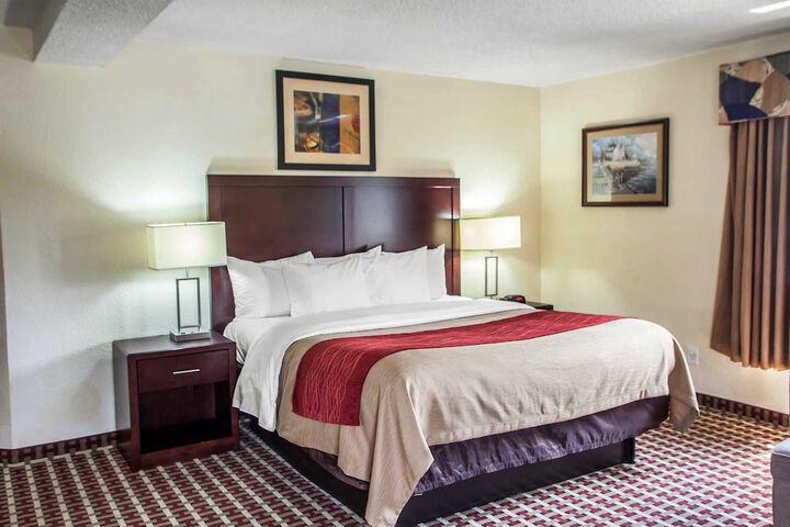 1 King Bed Accessible (3 of 16)