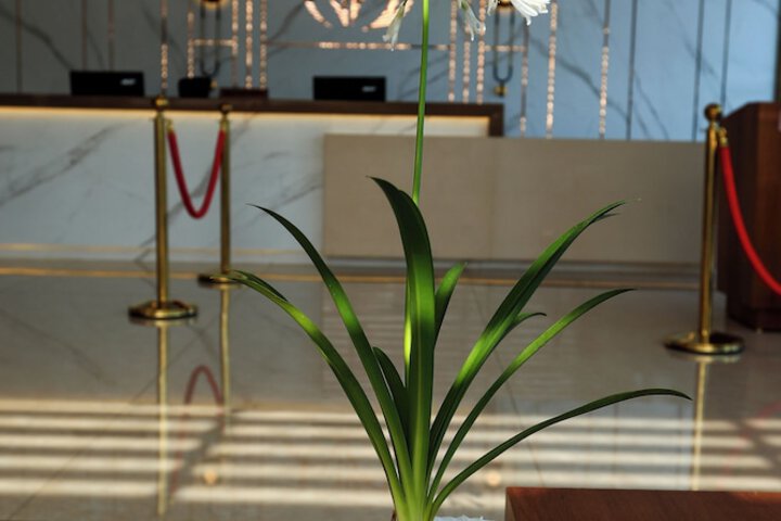 Hotel Interior 2 of 61