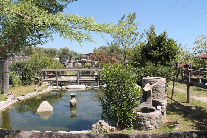 Property Grounds 20 of 26
