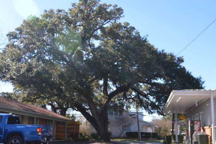 View from property