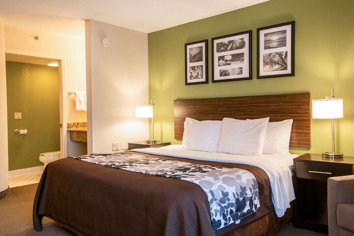 1 King Bed (5 of 7)