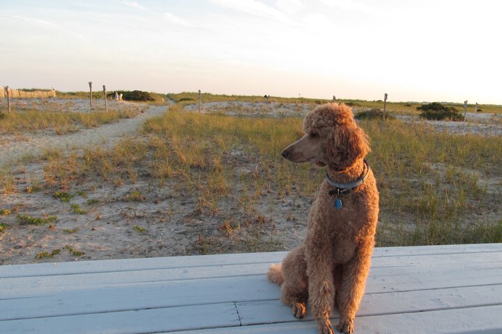 Beach 44 of 55