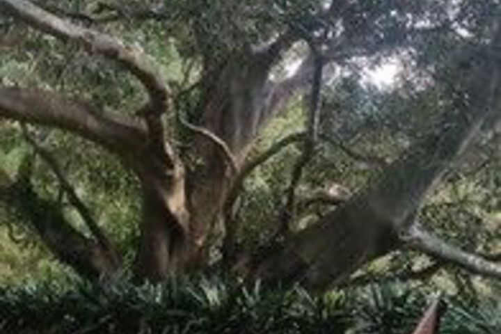 Property Grounds 57 of 60