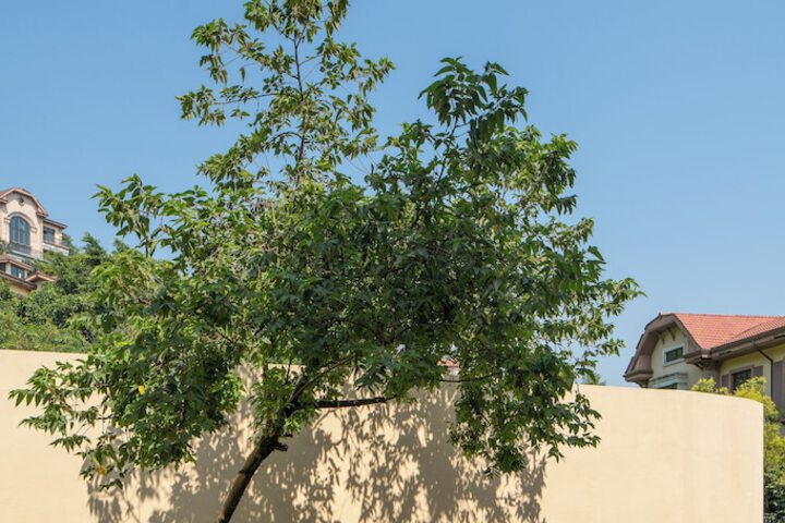 Terrace/Patio 110 of 331