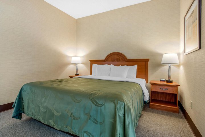 1 King Bed (16 of 18)