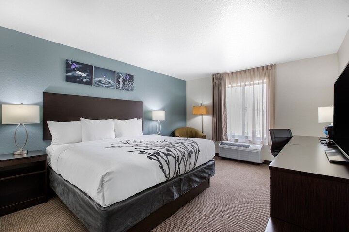 1 King Bed (6 of 13)