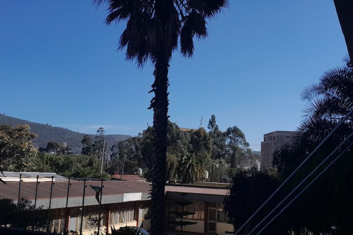 View from room