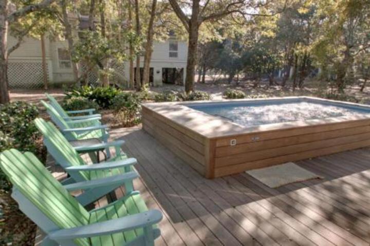 12 Abalone Alley in Isle Of Palms, SC