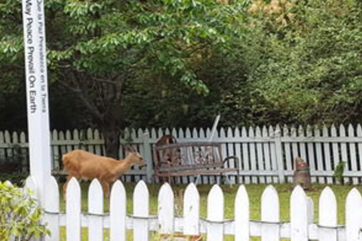 Hotel Exterior 40 of 126