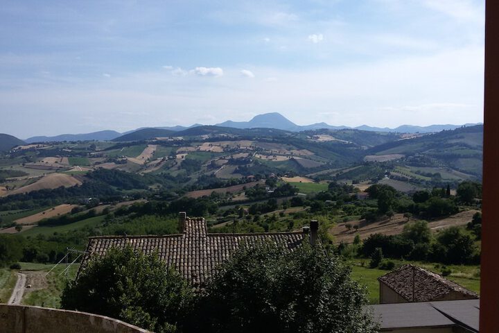 View from room
