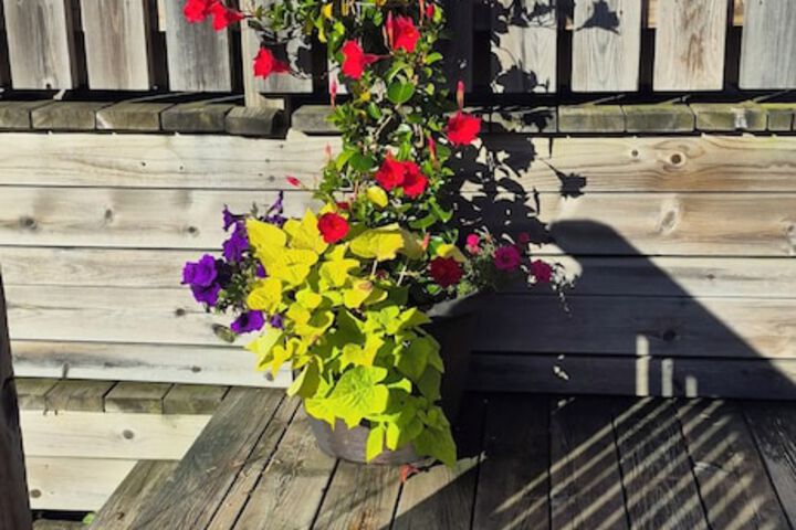 Terrace/Patio 10 of 25