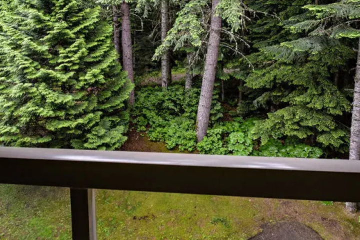 Photo of Westwind Properties at the Woodrun Lodge