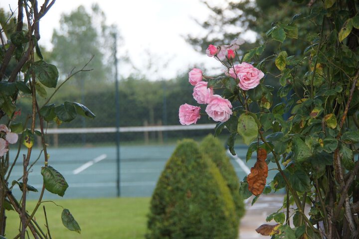 Tennis and Basketball Courts 38 of 46