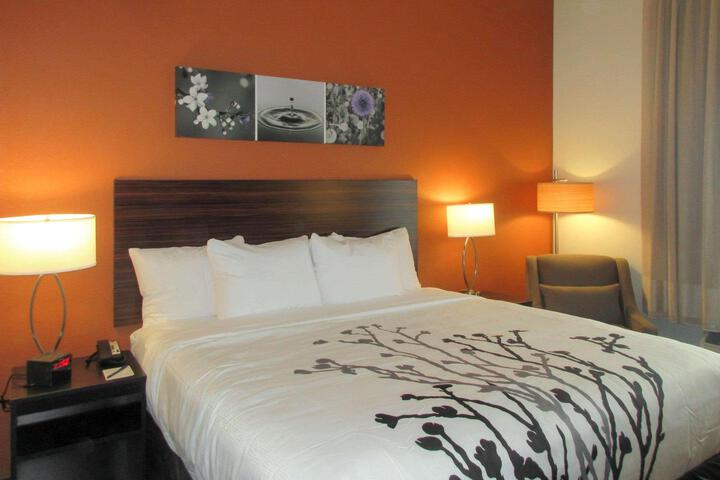 1 King Bed (5 of 13)