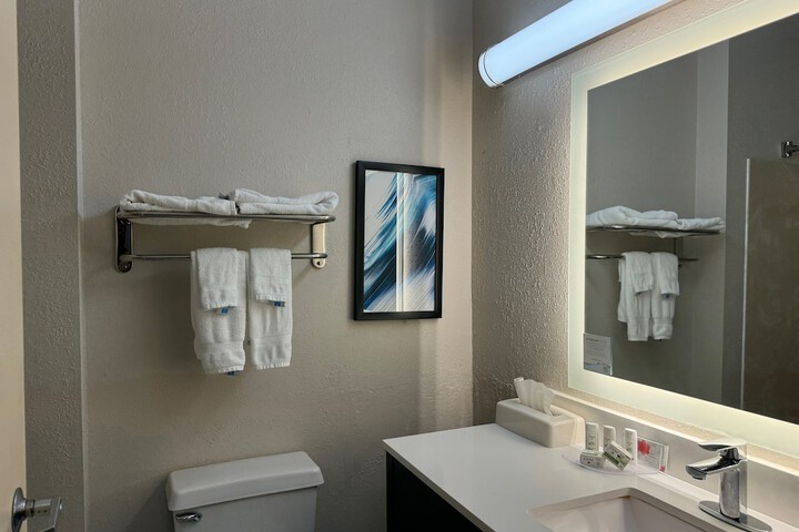 1 King Bed Mobility Accessible Bathtub with Grab Bars (1 of 22)