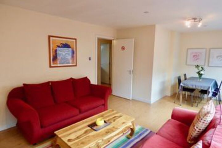 The Comfort Suite