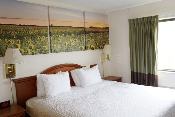 Standard | King Bed (7 of 15)