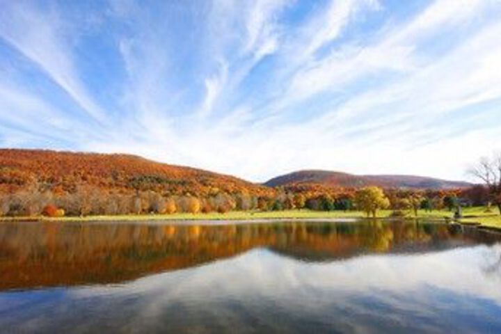 Property Grounds 46 of 77