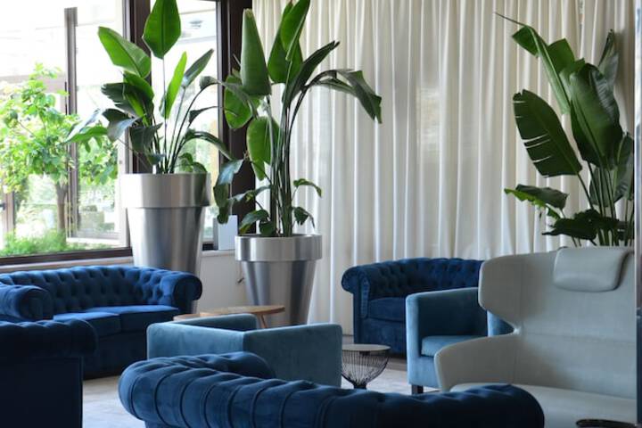 Entrance & Lobby
