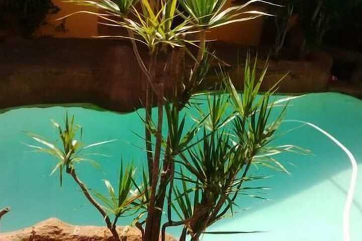 Pools & Facilities
