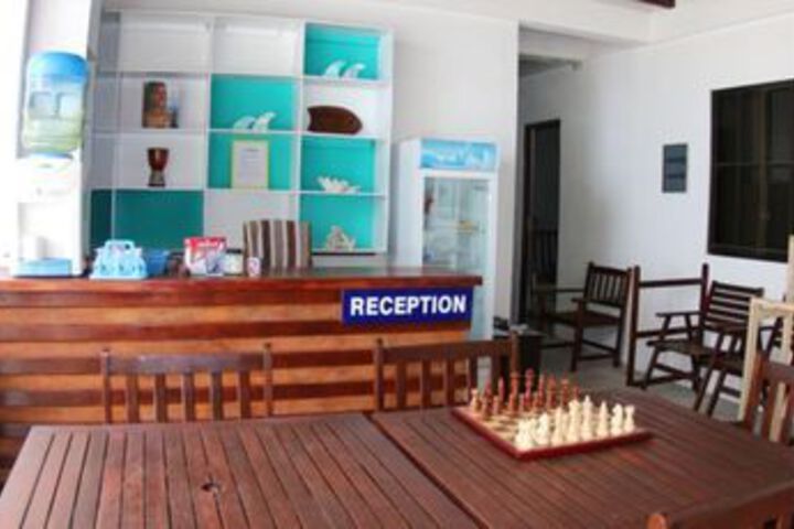 Cokes Surf Camp