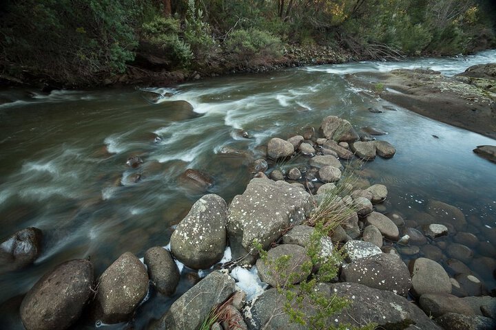 Property Grounds 14 of 19