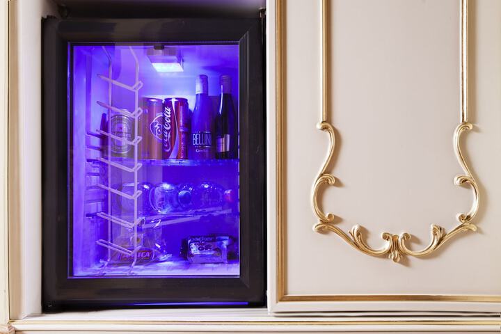 Mini-refrigerator
