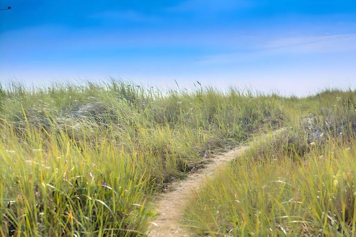 Outdoor Activities 113 of 129