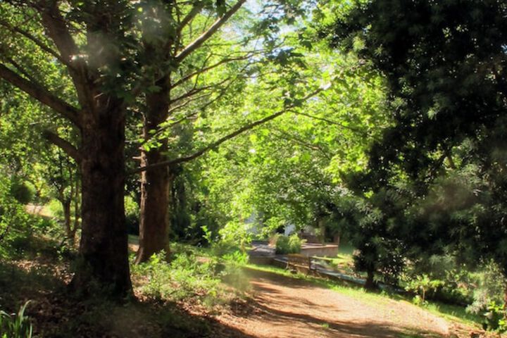 Outdoor Activities 43 of 59