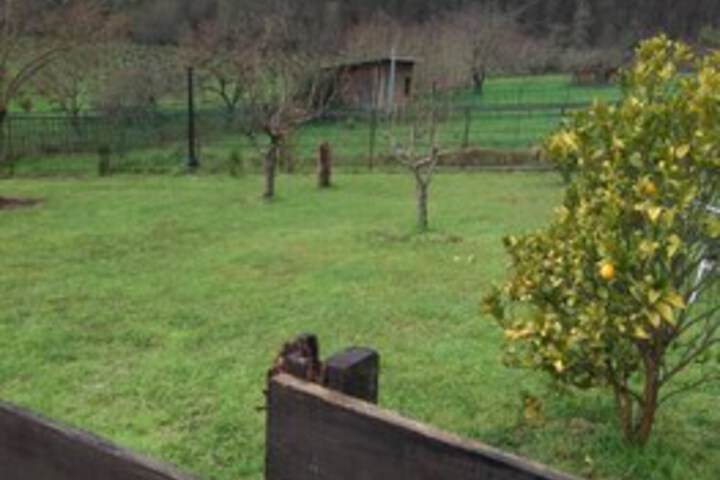 Property Grounds 19 of 42