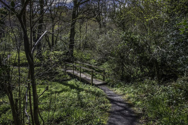 Property Grounds 24 of 35