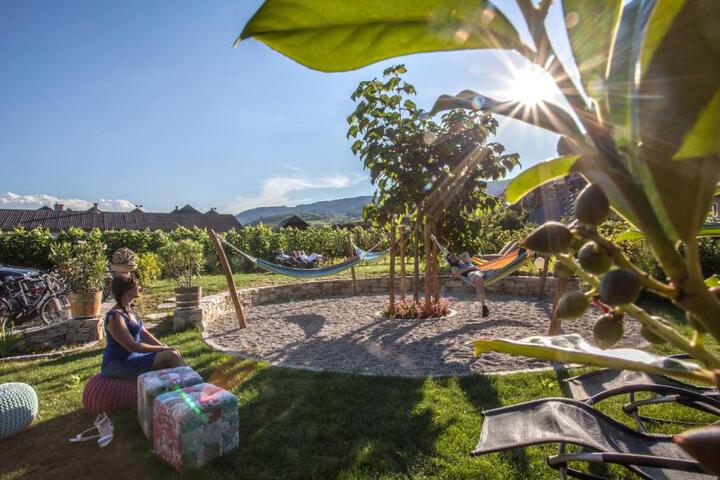 Spa and Wellness Pictures