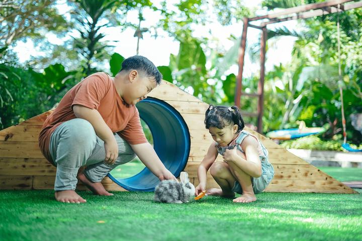 Children's play area - outdoor