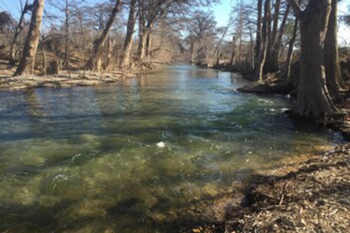 Property Grounds 50 of 79