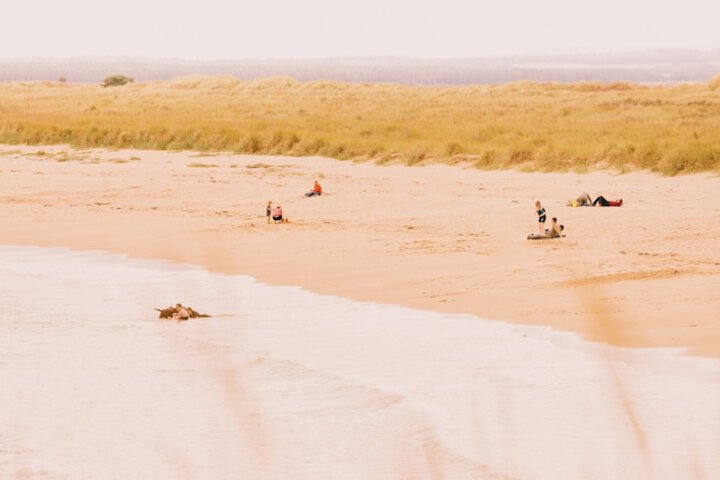 Beach 55 of 66