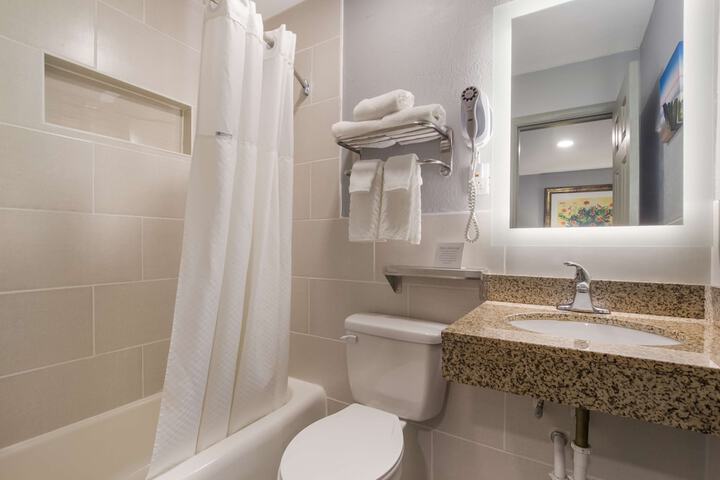 1 King Bed Suite (5 of 13)