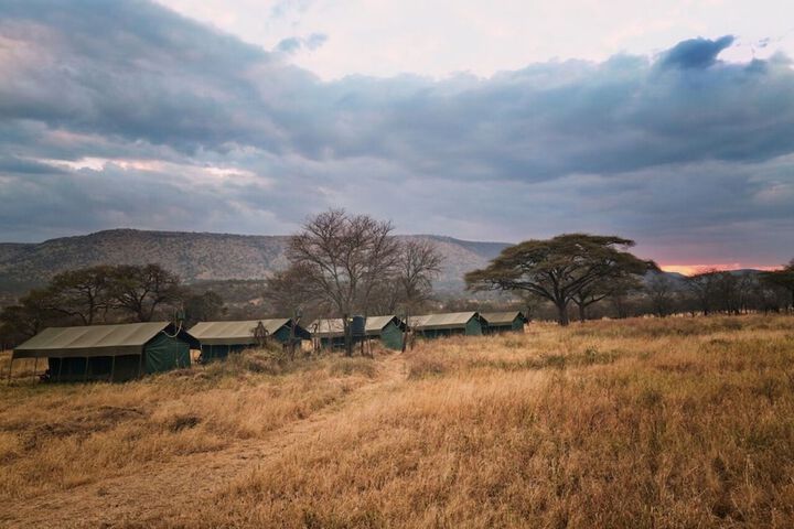 Rongai Eleven Serengeti Camp in Serengeti