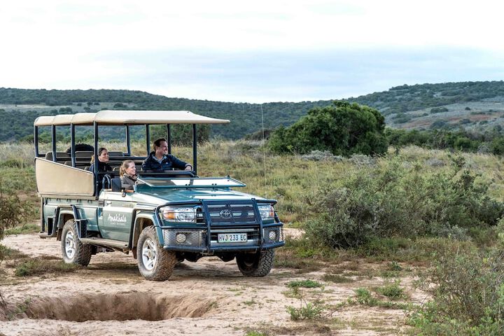 Game drive