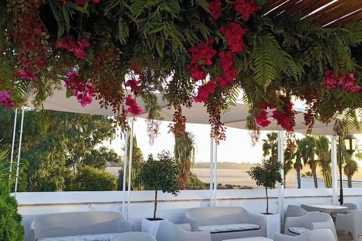 Terrace/Patio 26 of 69