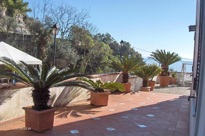 General 14 of 26