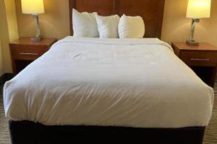 2 Queen Beds Accessible (1 of 25)