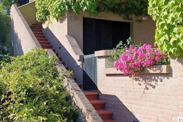 Terrace/Patio 66 of 99