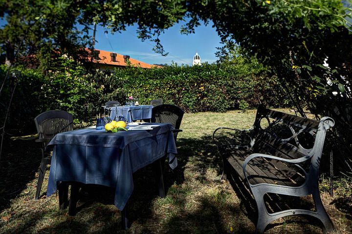 Garden view