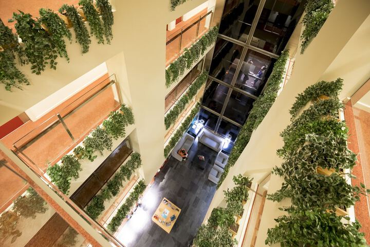 Guest Lobby